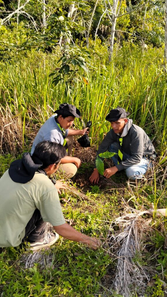 img 20260127 wa00017911575523149558956